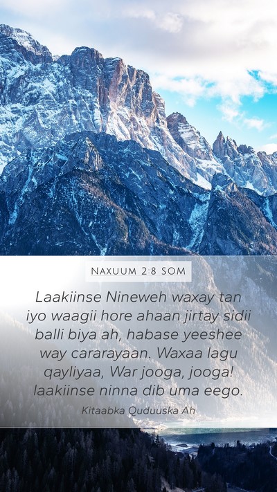 Naxuum 2:8 SOM Bible Verse Image