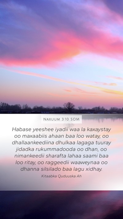 Naxuum 3:10 SOM Bible Verse Image