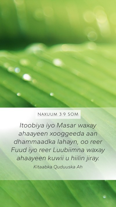 Naxuum 3:9 SOM Bible Verse Image