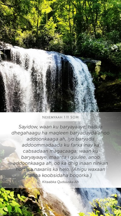 Nexemyaah 1:11 SOM Bible Verse Image