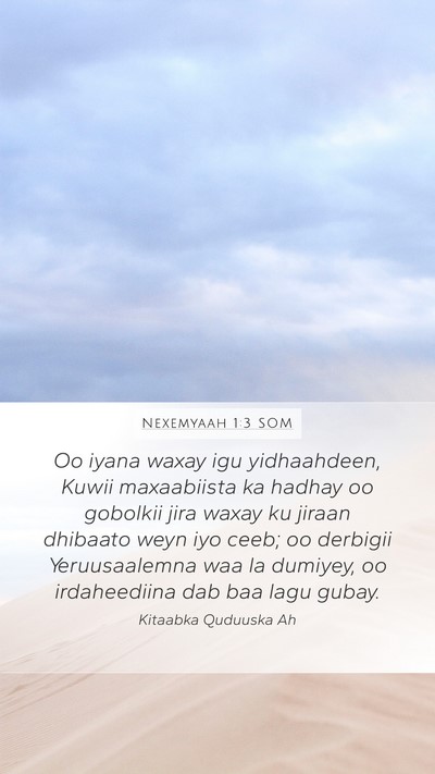 Nexemyaah 1:3 SOM Bible Verse Image