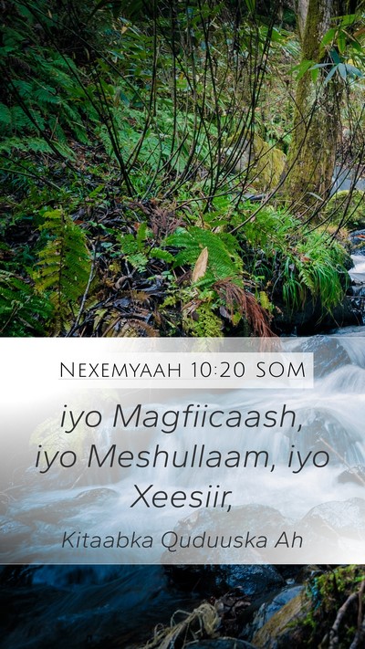 Nexemyaah 10:20 SOM Bible Verse Image