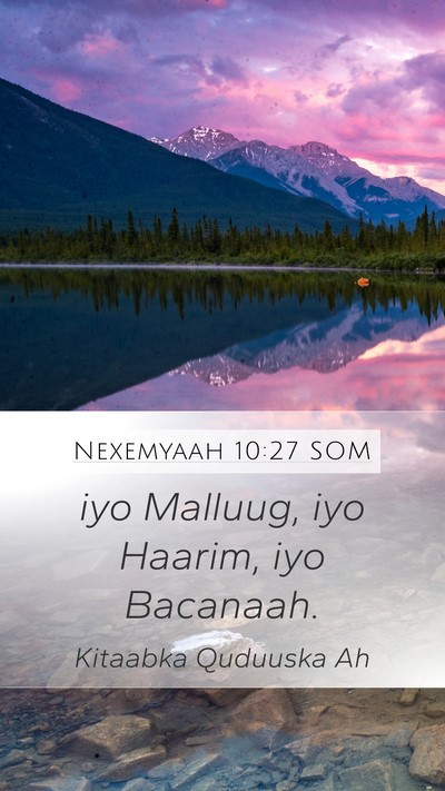 Nexemyaah 10:27 SOM Mobile Phone Wallpaper - iyo Malluug, iyo Haarim, iyo - Mobile Bible Verse Wallpaper