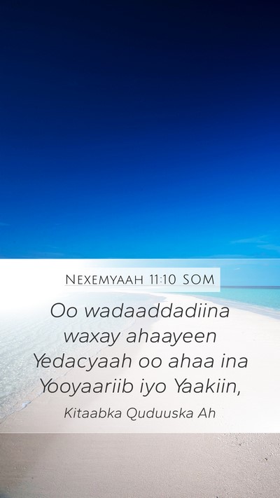 Nexemyaah 11:10 SOM Bible Verse Image