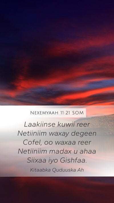 Nexemyaah 11:21 SOM Bible Verse Image