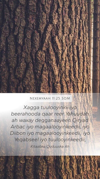Nexemyaah 11:25 SOM Bible Verse Image
