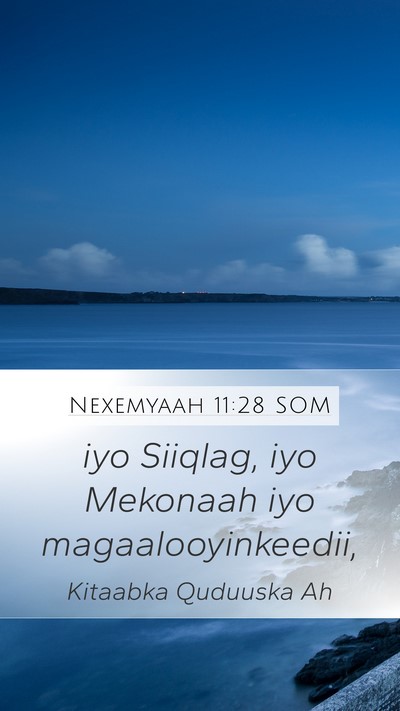 Nexemyaah 11:28 SOM Mobile Phone Wallpaper - iyo Siiqlag, iyo Mekonaah iyo - Mobile Bible Verse Wallpaper