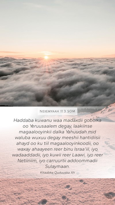 Nexemyaah 11:3 SOM Bible Verse Image
