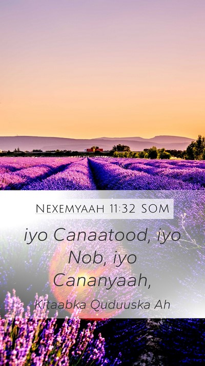 Nexemyaah 11:32 SOM Bible Verse Image