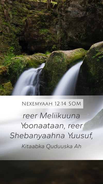 Nexemyaah 12:14 SOM Mobile Phone Wallpaper - reer Meliikuuna Yoonaataan, reer Shebanyaahna - Mobile Bible Verse Wallpaper