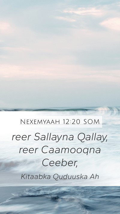 Nexemyaah 12:20 SOM Mobile Phone Wallpaper - reer Sallayna Qallay, reer Caamooqna - Mobile Bible Verse Wallpaper