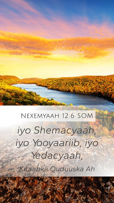 Nexemyaah 12:6 SOM Mobile Phone Wallpaper - iyo Shemacyaah, iyo Yooyaariib, iyo - Mobile Bible Verse Wallpaper