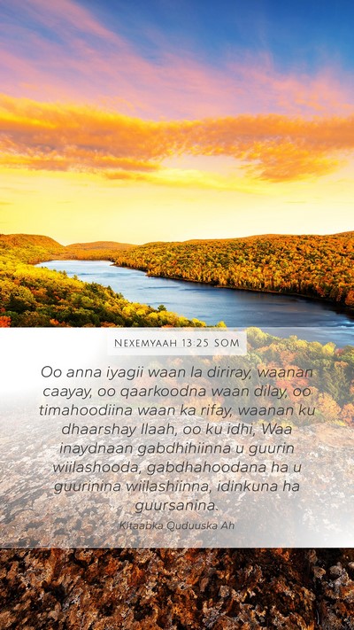 Nexemyaah 13:25 SOM Bible Verse Image