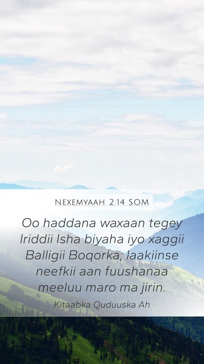 Nexemyaah 2:14 SOM Bible Verse Image