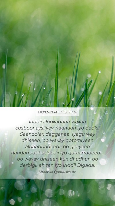 Nexemyaah 3:13 SOM Bible Verse Image