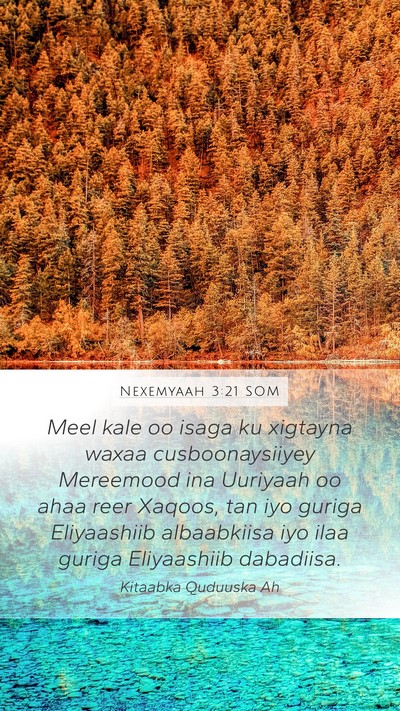 Nexemyaah 3:21 SOM Bible Verse Image