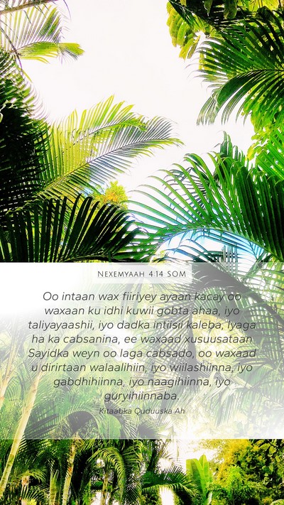 Nexemyaah 4:14 SOM Bible Verse Image
