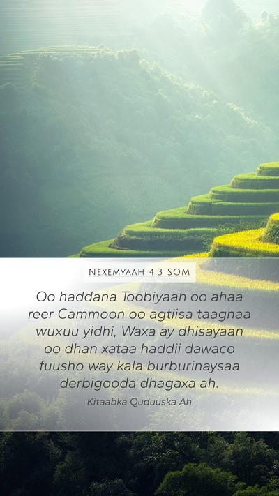 Nexemyaah 4:3 SOM Bible Verse Image