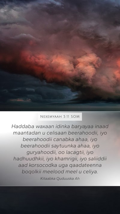 Nexemyaah 5:11 SOM Mobile Phone Wallpaper - Haddaba waxaan idinka baryayaa inaad maantadan u - Mobile Bible Verse Wallpaper