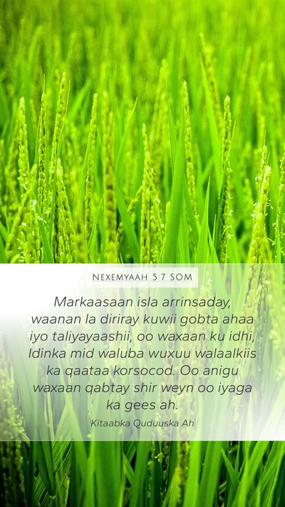 Nexemyaah 5:7 SOM Bible Verse Image