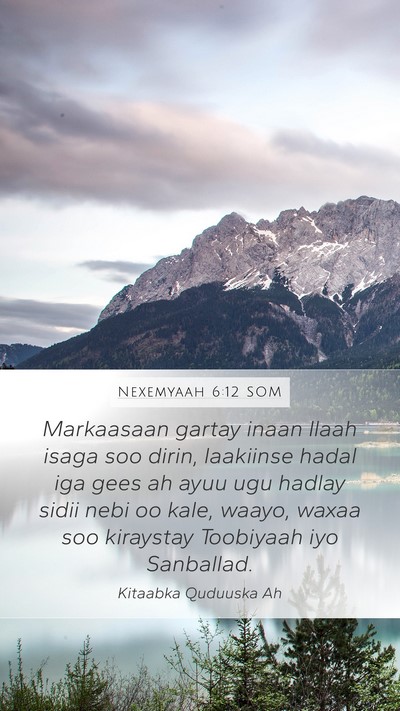 Nexemyaah 6:12 SOM Bible Verse Image