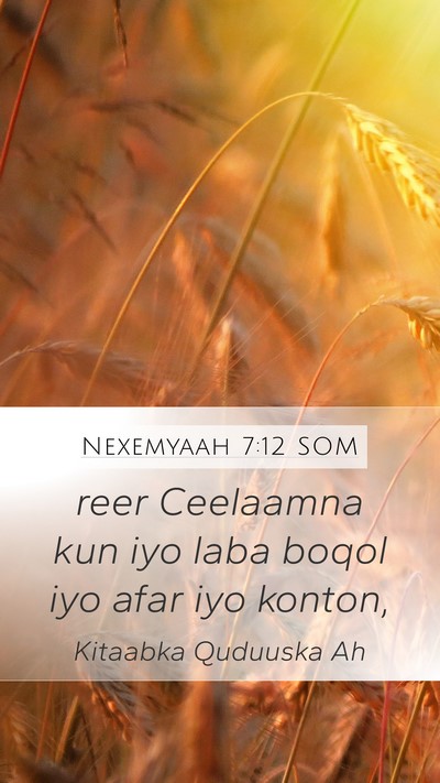 Nexemyaah 7:12 SOM Bible Verse Image