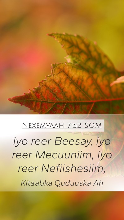 Nexemyaah 7:52 SOM Mobile Phone Wallpaper - iyo reer Beesay, iyo reer Mecuuniim, iyo reer - Mobile Bible Verse Wallpaper