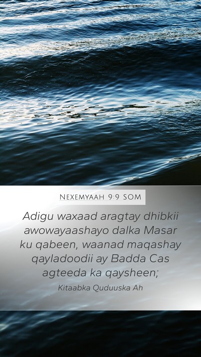 Nexemyaah 9:9 SOM Bible Verse Image