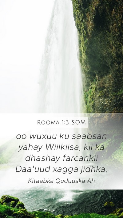 Rooma 1:3 SOM Bible Verse Image