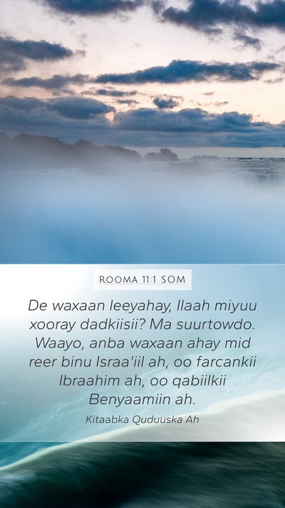 Rooma 11:1 SOM Bible Verse Image