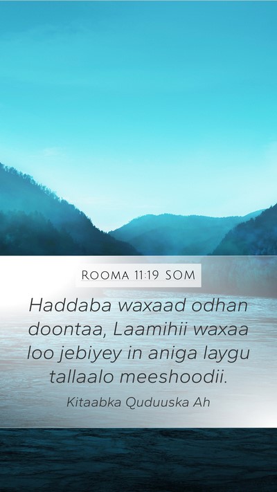 Rooma 11:19 SOM Bible Verse Image