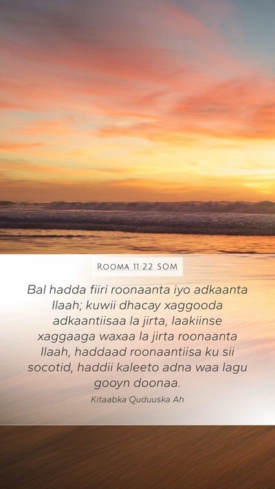 Rooma 11:22 SOM Bible Verse Image