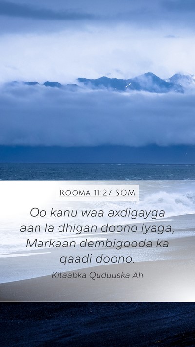 Rooma 11:27 SOM Bible Verse Image
