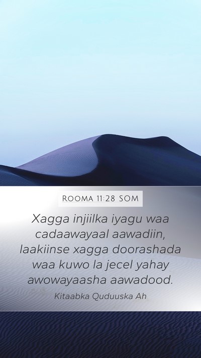 Rooma 11:28 SOM Bible Verse Image