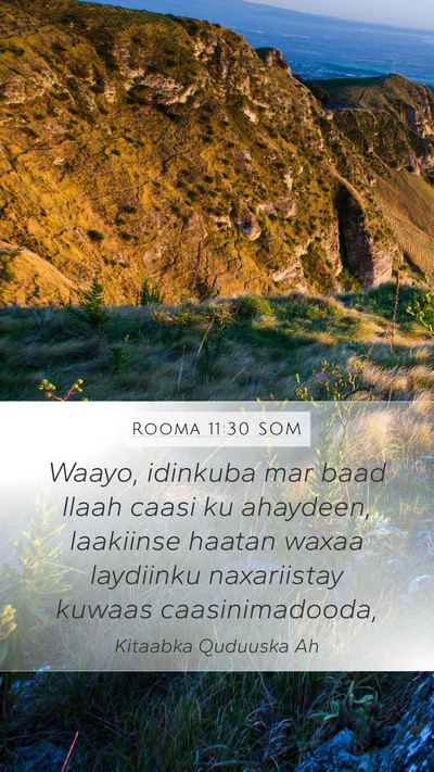 Rooma 11:30 SOM Bible Verse Image