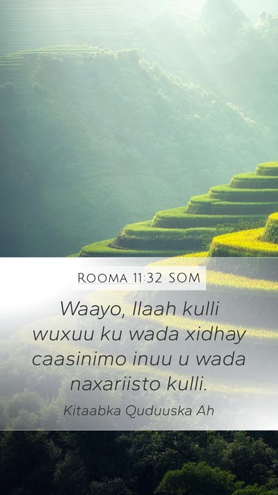 Rooma 11:32 SOM Bible Verse Image