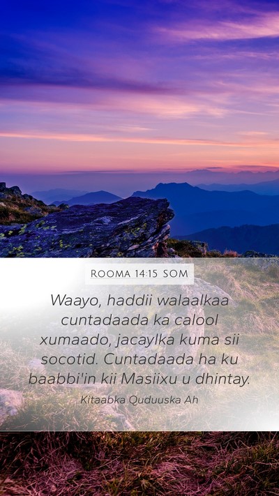 Rooma 14:15 SOM Bible Verse Image