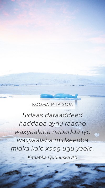 Rooma 14:19 SOM Bible Verse Image