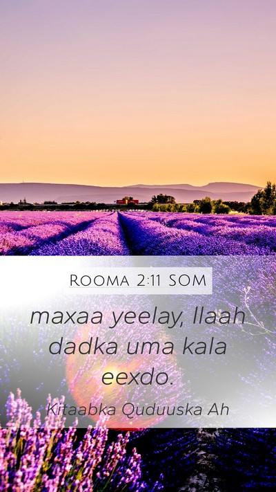 Rooma 2:11 SOM Bible Verse Image
