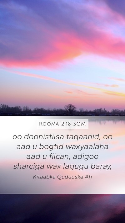 Rooma 2:18 SOM Bible Verse Image