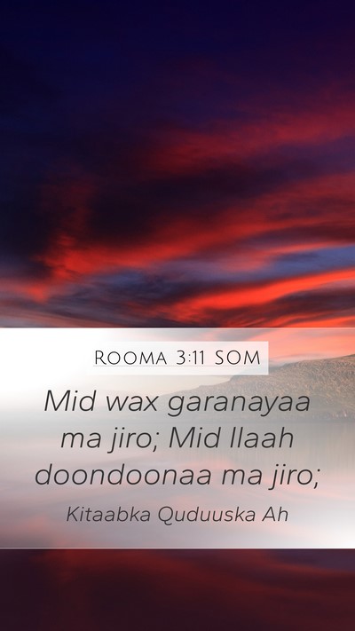 Rooma 3:11 SOM Bible Verse Image