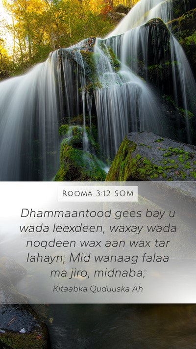 Rooma 3:12 SOM Bible Verse Image