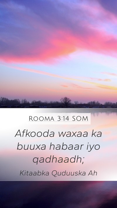 Rooma 3:14 SOM Bible Verse Image