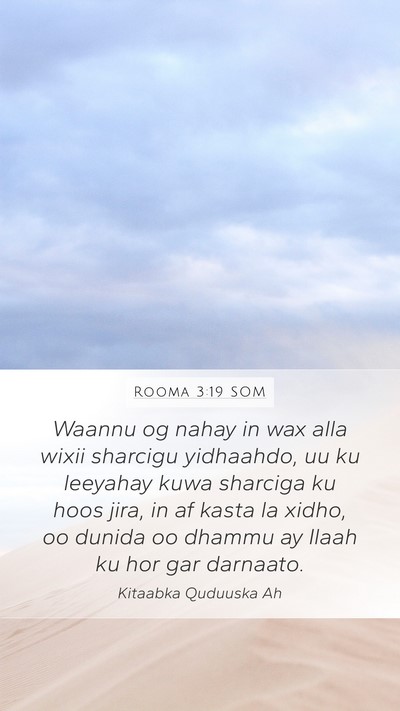 Rooma 3:19 SOM Bible Verse Image