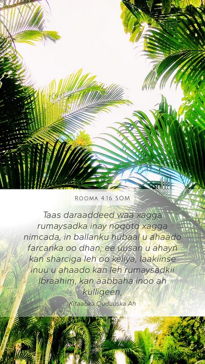 Rooma 4:16 SOM Bible Verse Image