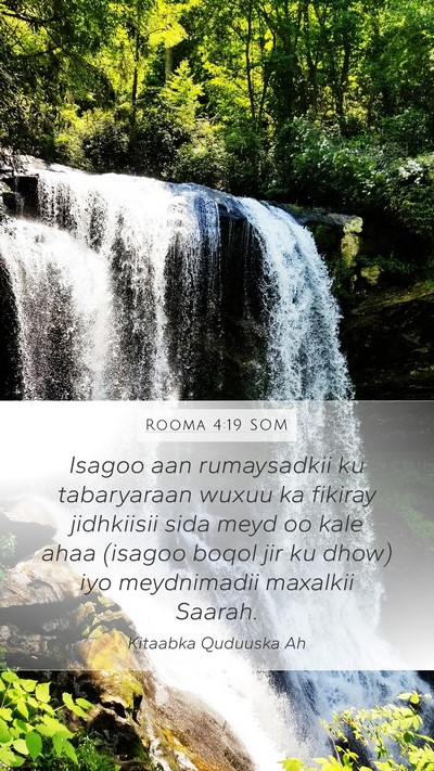 Rooma 4:19 SOM Bible Verse Image