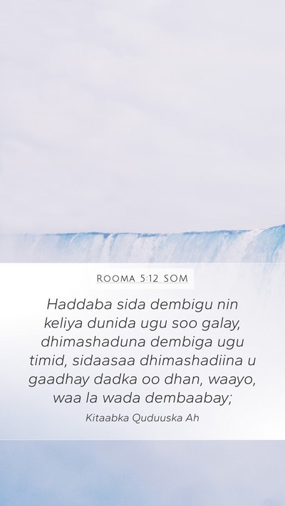 Rooma 5:12 SOM Bible Verse Image