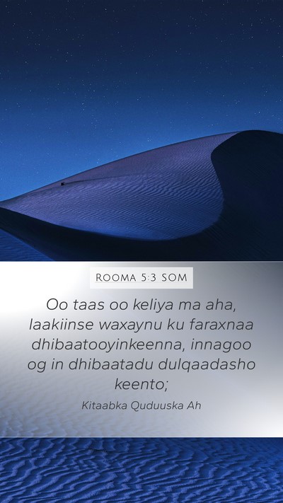 Rooma 5:3 SOM Bible Verse Image