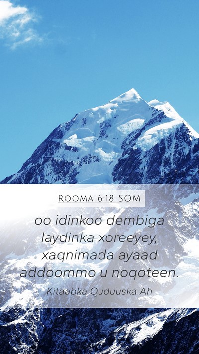 Rooma 6:18 SOM Bible Verse Image