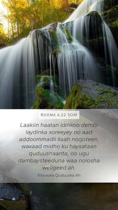 Rooma 6:22 SOM Bible Verse Image